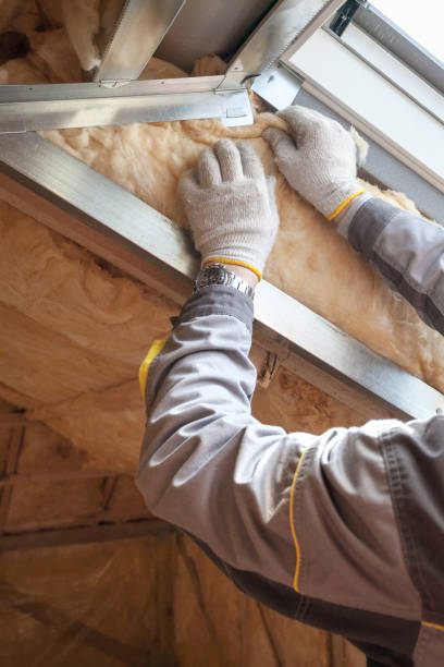 Best Insulation Maintenance and Repair in Fordoche, LA